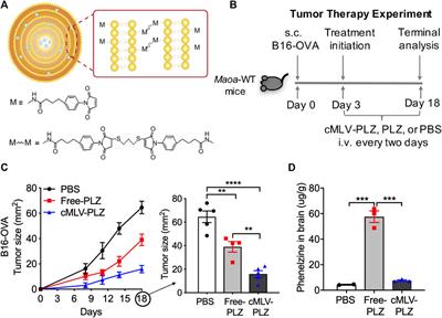 <mark class="highlighted">Nanoformulation</mark> improves antitumor efficacy of MAOI immune checkpoint blockade therapy without causing aggression-related side effects